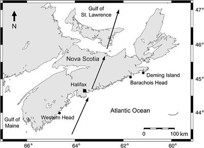 Cyclone-Driven Coastal Upwelling and Cooling Depend on Location Relative to the Cyclone's Path: Evidence From Dorian's Arrival to Atlantic Canada